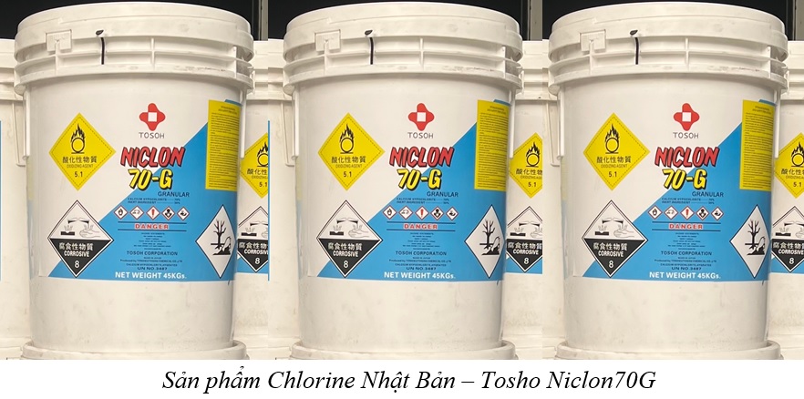 chlorine niclon 70g